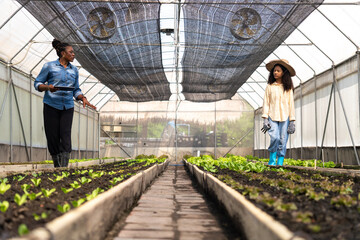 Children learn to grow vegetables and collect data from experimental vegetable plots in a temperature-controlled greenhouse.