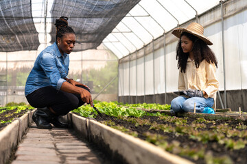 Children learn to grow vegetables and collect data from experimental vegetable plots in a temperature-controlled greenhouse.