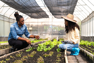Children learn to grow vegetables and collect data from experimental vegetable plots in a...