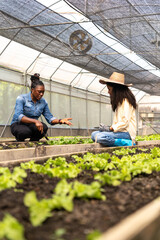 Children learn to grow vegetables and collect data from experimental vegetable plots in a temperature-controlled greenhouse.