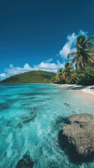 Tropical beach with palm trees and turquoise water in ocean. Paradise island on a sunny day. Trip, travel and vacation concept
