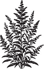 black silhouettes of leaves, tree vector illustration, leaves silhouette vector icon