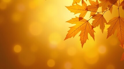 Golden autumn leaves create a warm, inviting backdrop. Perfect for seasonal promotions or nature-themed designs.