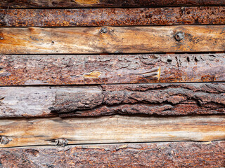 Textura de troncos r&uacute;sticos con corteza agrietada