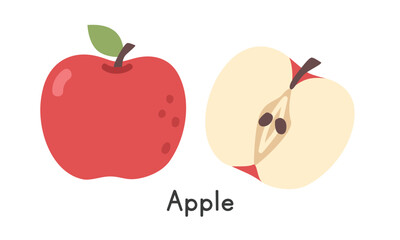 Apple fruit flat vector illustration. Red apple or Malus cartoon clipart style isolated on white background. Whole appe and Half apple. Common fruit concept