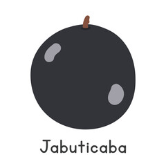 Jabuticaba flat vector illustration. Black jabuticaba or Brazilian grapetree or jaboticaba cartoon clipart style isolated on white background. Also known as Guaperu, Guapuru, Hivapuru, Sabar&aacute;, Ybapuru