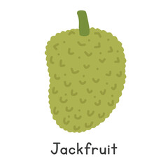 Jackfruit flat vector illustration. Jackfruit cartoon clipart style isolated on white background. Also known as jack, jak, nangka, kathal, jaca, khanun, mit, or tree mutton. Tropical and Exotic fruit © Vinh