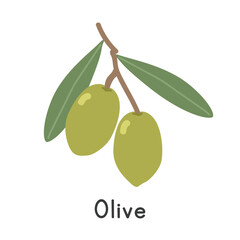 Olive flat vector illustration. Common olive cartoon clipart style isolated on white background. Stone fruit concept
