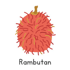 Rambutan flat vector illustration. Rambutan fruit cartoon clipart style isolated on white background. Tropical and Exotic fruit concept