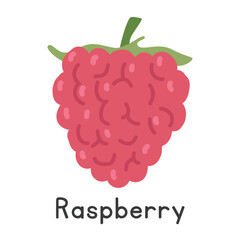 Raspberry flat vector illustration. Red raspberry fruit cartoon clipart style isolated on white background. Common fruit and Berry concept