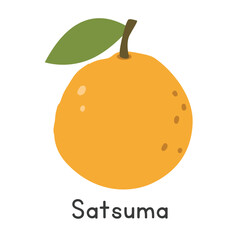 Satsuma flat vector illustration. Satsuma cartoon clipart style isolated on white background. Citrus fruit concept