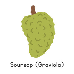 Soursop flat vector illustration. Soursop or Graviola cartoon clipart style isolated on white background. Tropical and Exotic fruit concept