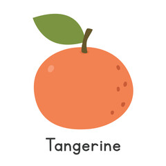 Tangerine flat vector illustration. Orange tangerine cartoon clipart style isolated on white background. Common and Citrus fruit concept