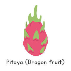 Dragon fruit flat vector illustration. Dragon fruit or pitaya cartoon clipart style. Also known as pitahaya, strawberry pear, or Selenicereus undatus. Tropical and Exotic fruit concept