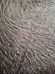 Abstract Sand Ripple Texture