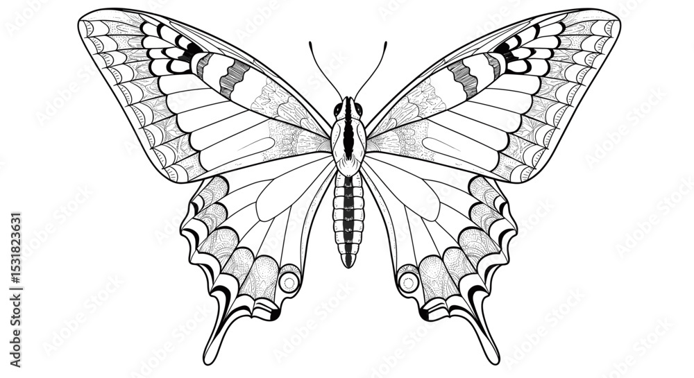 Poster detailed line art illustration of a swallowtail butterfly with intricate wing patterns and elegant d