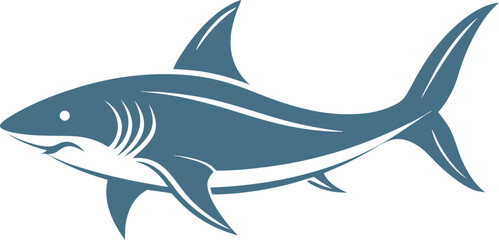 shark vector illustration