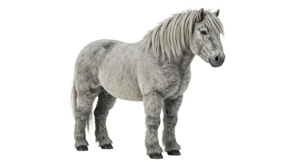Obraz premium Majestic Grey Horse Standing Proudly with Detailed Fur and Mane