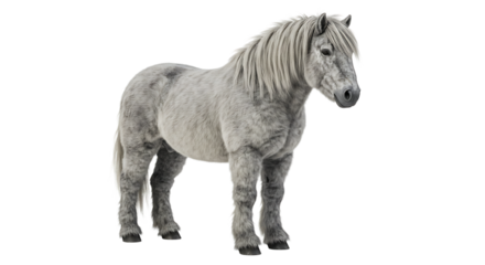 Majestic Grey Horse Standing Proudly with Detailed Fur and Mane
