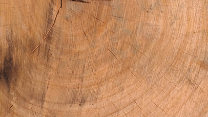 Naklejka premium Directly above view of a wooden background. Wooden texture stock photo