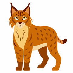 Bobcat on white background 