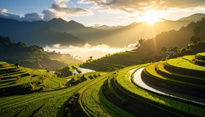 Breathtaking panoramic view of lush green terraced rice fields at sunrise in mountainous region