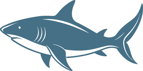 vector illustration of a shark