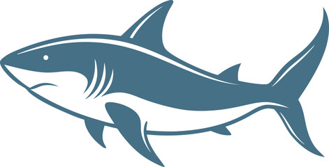 vector illustration of a shark