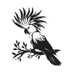 vector illustration of an eagle
