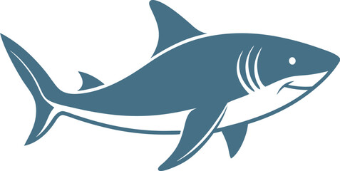 vector illustration of a shark