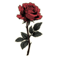Elegant red rose blossom with detailed line art and stark contrast styling