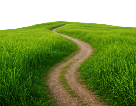 Serene Winding Path Through Lush Green Grass Leading to the Horizon, Symbolizing Nature’s Beauty and Tranquility, Isolated on Transparent and White Background