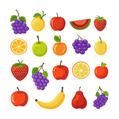 Vector set of fresh fruit illustration with different tropical and local fruits drawn in modern style for food and nutrition projects