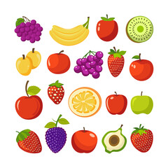 Vector set of fresh fruit illustration with different tropical and local fruits drawn in modern style for food and nutrition projects