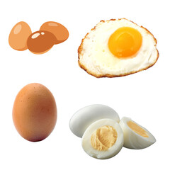 Egg Collection on Transparent Background – Raw, Boiled, Fried and Icon Styles

