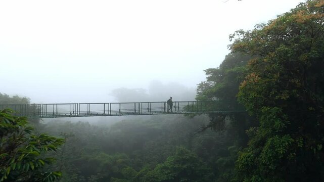 Costa Rica, Monteverde Cloud Forest Hanging Bridge
