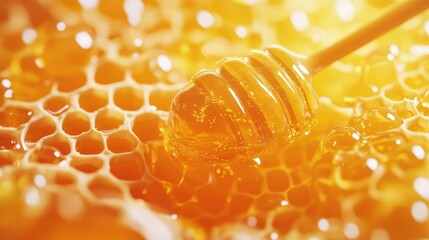 Honeycomb with dipper, close-up