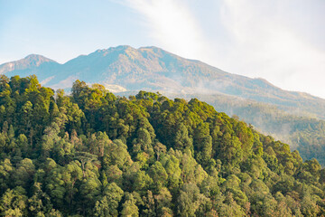 mountain landscape with trees and clouds