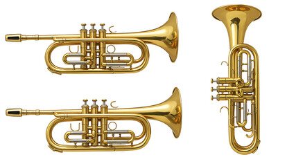 Fototapeta premium Three golden trumpets isolated background