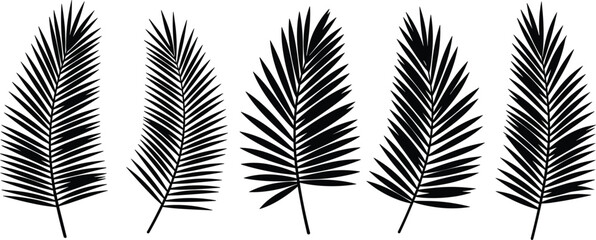 Set of five palm leaf silhouette designs, tropical foliage vector, exotic black plant shape, jungle leaf clipart, summer nature art, botanical elements collection
