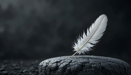White Feather on Dark Stone