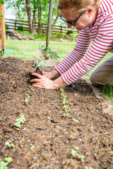 Spring planting