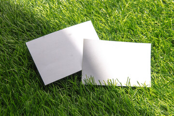 Two blank white cards lay on lush artificial grass bathed in bright, natural sunlight.