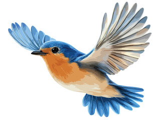blue bird vector art