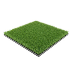 Square Patch of Green Grass on White Background for Landscaping or Nature Design