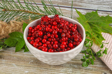 Natural organic wild forwst lingonberry