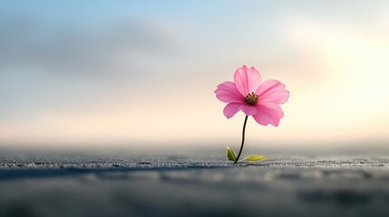 Pink flower suspended in a hazy surreal landscape, elegant minimal floral concept