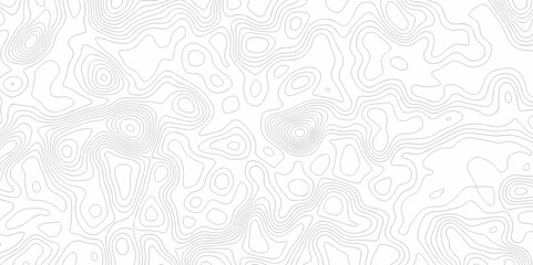 The patter discovery vector topo map creative discovery White wave grid stripe line map topography. vector geographic contour mounted map background.	