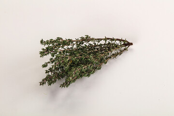 Fresh green Thyme branch isolated