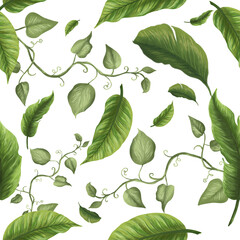 Pattern Drawing tropical leaves. Botanical jungle illustration. Exotic. watercolor set